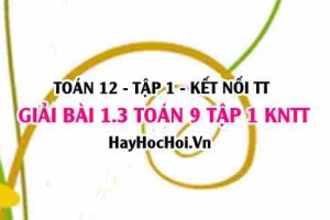 Bài 1.3 Toán 12 tập 1 SGK Kết nối tri thức
